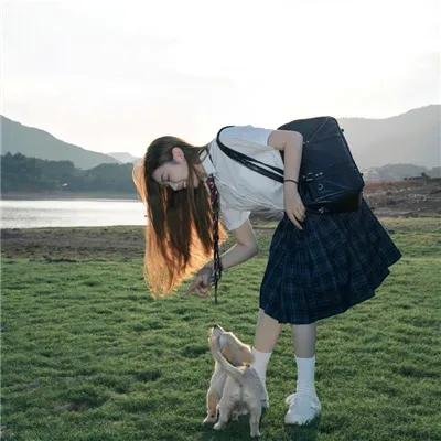 流氓燕